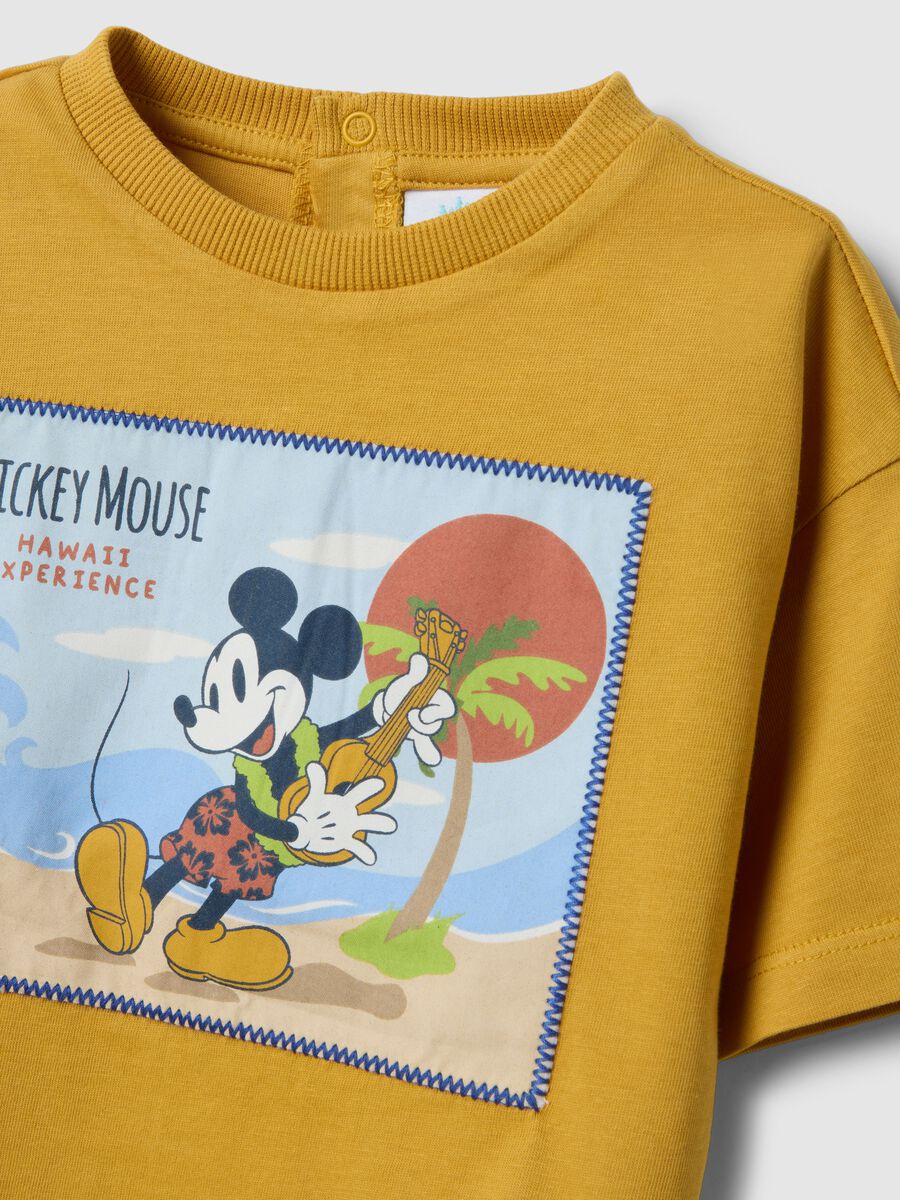 &Sigma;&epsilon;&tau; &pi;&omicron;&lambda;ύ&chi;&rho;&omega;&mu;&omicron;&upsilon; &beta;&alpha;&mu;&beta;&alpha;&kappa;&epsilon;&rho;&omicron;ύ &mu;&pi;&lambda;&omicron;&upsilon;&zeta;ά&kappa;&iota; &kappa;&alpha;&iota; &sigma;&omicron;&rho;&tau;&sigmaf; Disney &gamma;&iota;&alpha; &alpha;&gamma;ό&rho;&iota;&alpha;_2