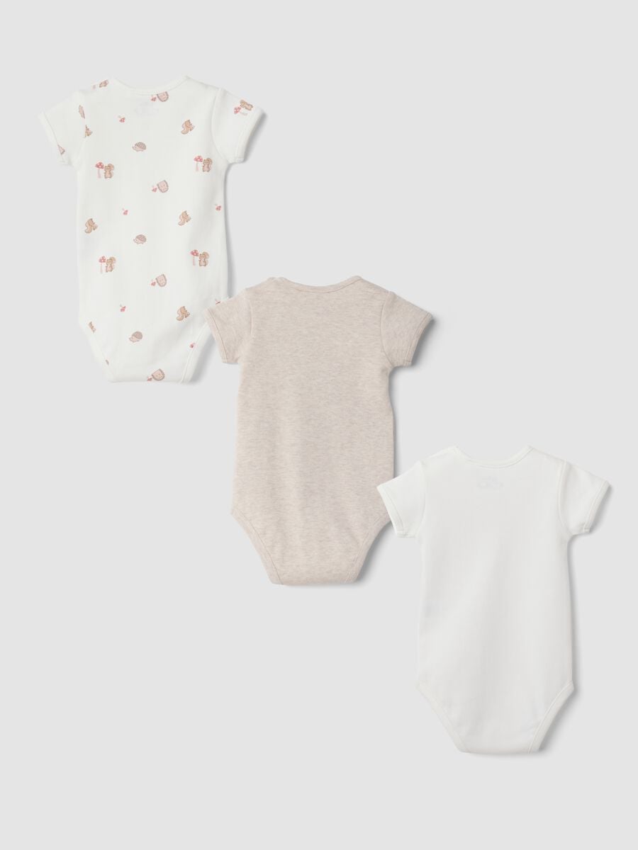 3-pack organic cotton crew-neck bodysuits for baby girl_1