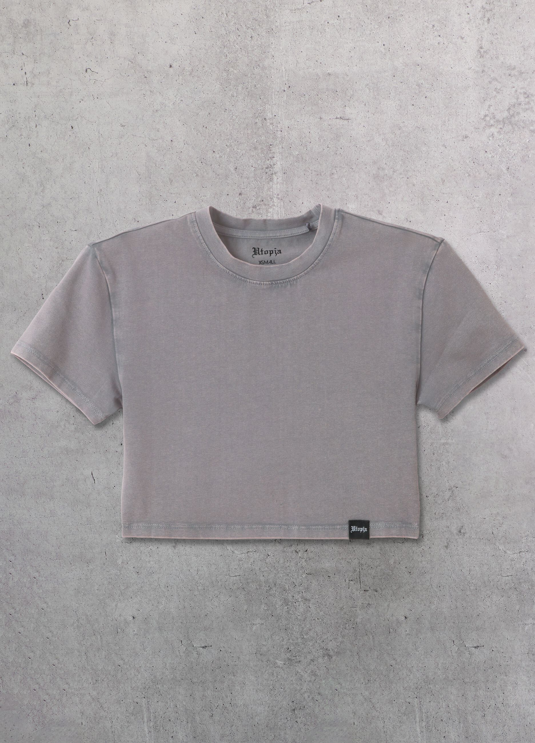 Vintage Grey Crop T-Shirt