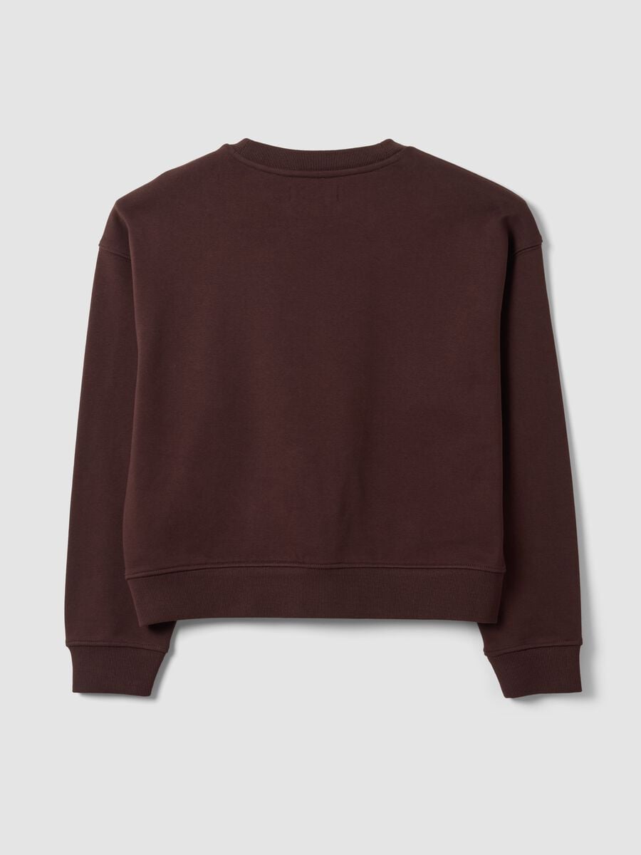 Brown cotton-blend crew-neck sweatshirt, regular fit_2