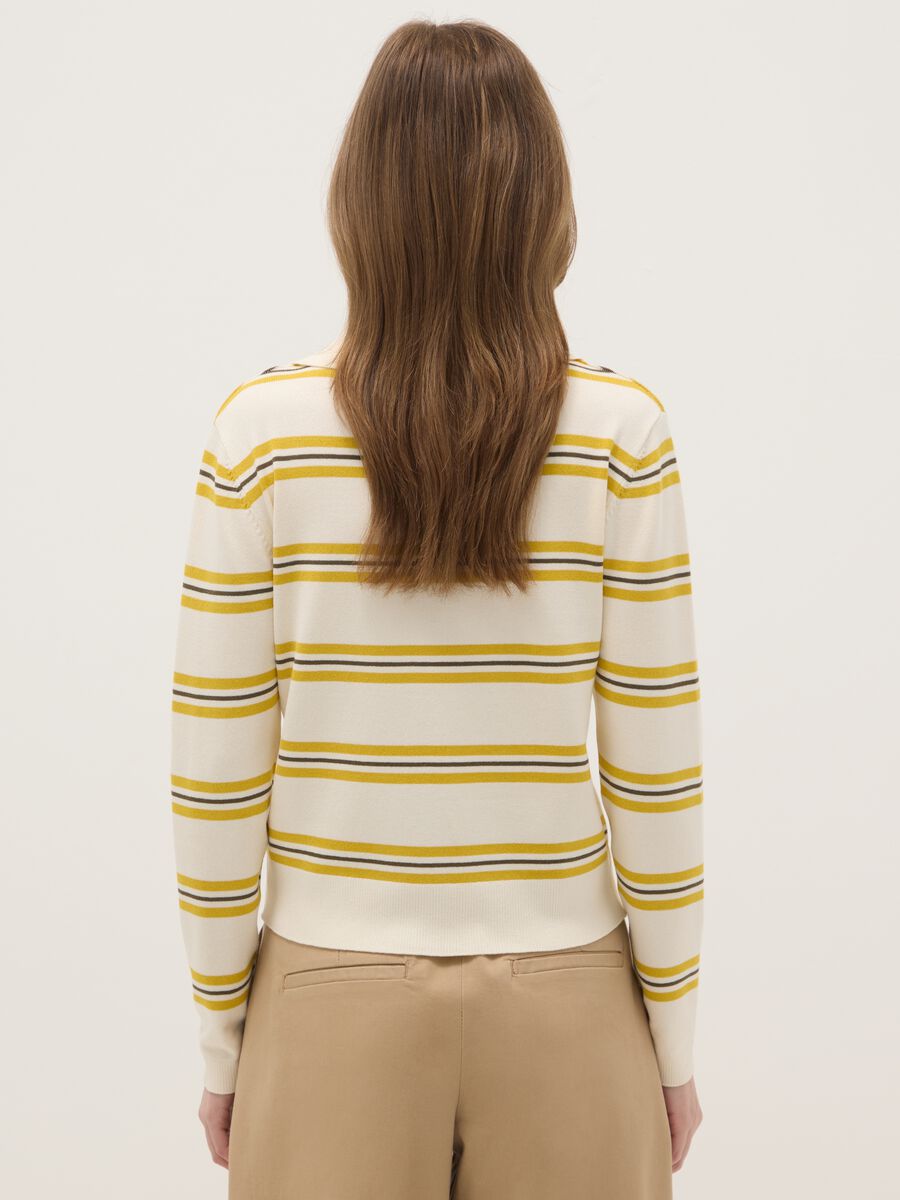 Regular Fit Multicolour Striped Jumper with Polo Collar_2