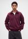 Purple Half-Zip Sweatshirt_0