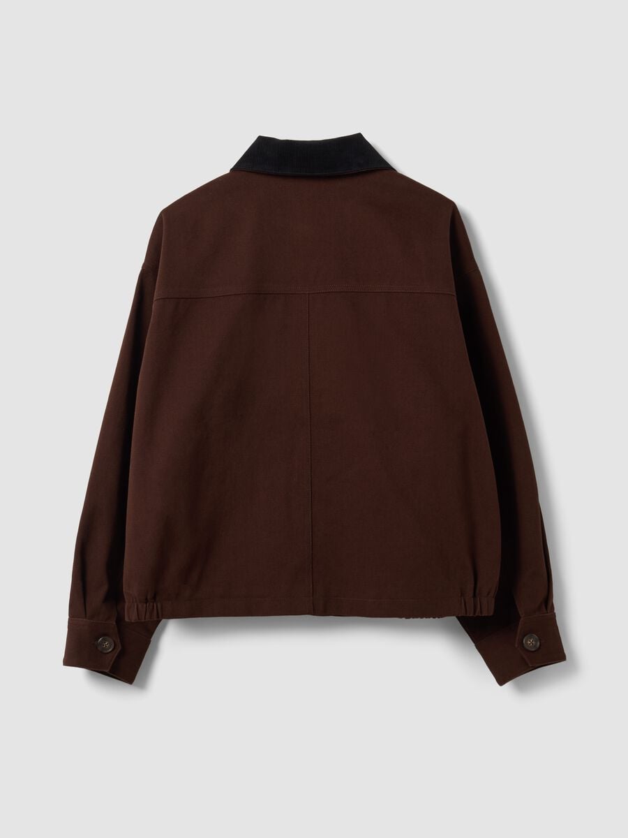 Brown pure cotton bomber jacket with contrasting collar, regular fit_5