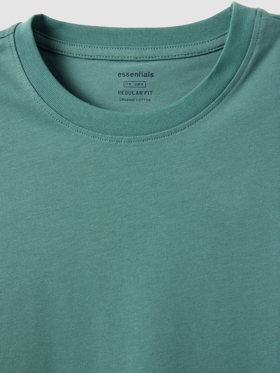 Green pure cotton short sleeve T-shirt, regular fit_5