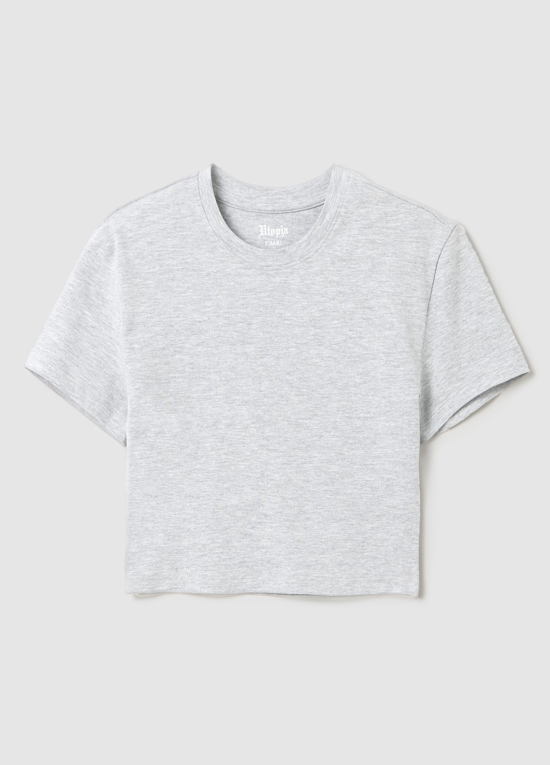Vintage Grey crop T-shirt