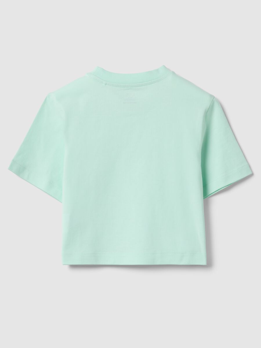 Girls' Green Boxy Fit Pure Cotton T-shirt_1