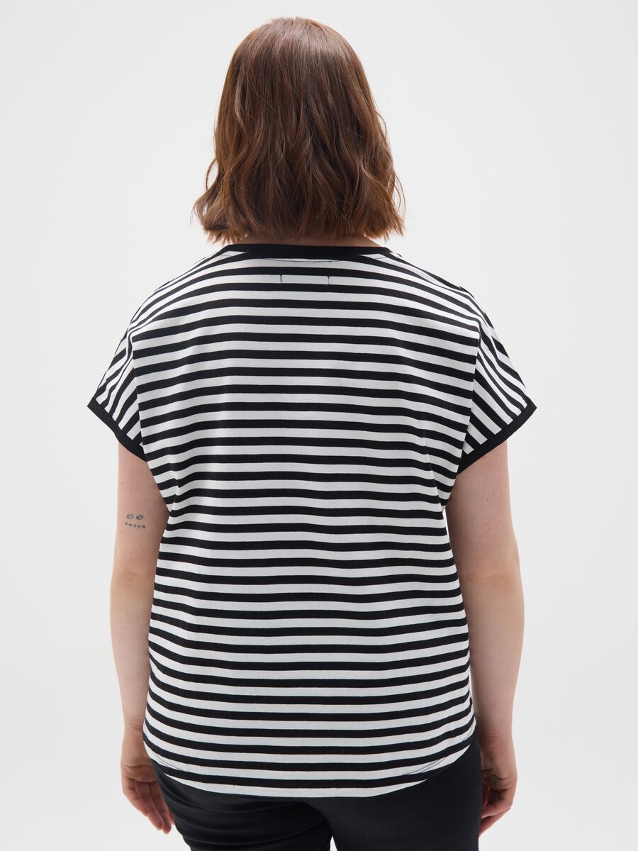 Multicolour regular fit pure cotton T-shirt_3