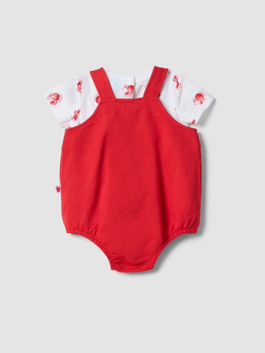 &Pi;&omicron;&lambda;ύ&chi;&rho;&omega;&mu;&omicron; &sigma;&epsilon;&tau; &alpha;&pi;ό &kappa;&alpha;&theta;&alpha;&rho;ό &beta;&alpha;&mu;&beta;ά&kappa;&iota; &gamma;&iota;&alpha; &kappa;&omicron;&rho;&iota;&tau;&sigma;ά&kappa;&iota; &mu;&epsilon; Minnie_1