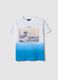 Multicolour pure cotton regular fit t-shirt with Hokusai wave_4