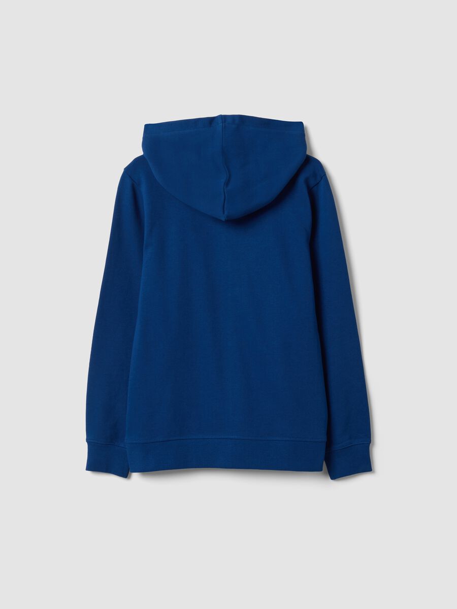Blue boys&rsquo; organic cotton hoodie, regular fit_1