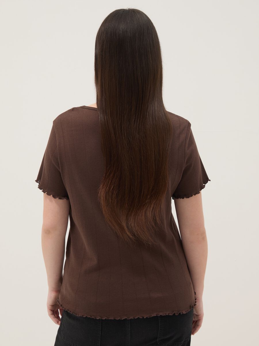 Brown striped pure cotton regular-fit T-shirt_3