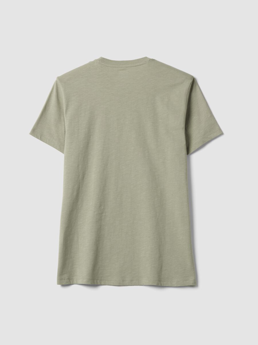 Grey regular-fit short-sleeve pure cotton T-shirt_1