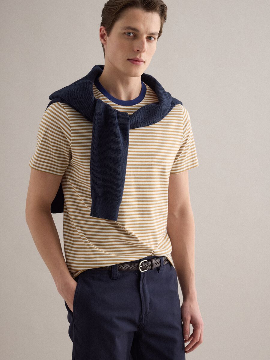 &Mu;&pi;&lambda;&omicron;&upsilon;&zeta;ά&kappa;&iota; &alpha;&pi;ό &kappa;&alpha;&theta;&alpha;&rho;ό &beta;&alpha;&mu;&beta;ά&kappa;&iota; &mu;&epsilon; &pi;&omicron;&lambda;ύ&chi;&rho;&omega;&mu;&epsilon;&sigmaf; &rho;ί&gamma;&epsilon;&sigmaf;, &kappa;&alpha;&nu;&omicron;&nu;&iota;&kappa;ή &epsilon;&phi;&alpha;&rho;&mu;&omicron;&gamma;ή_0