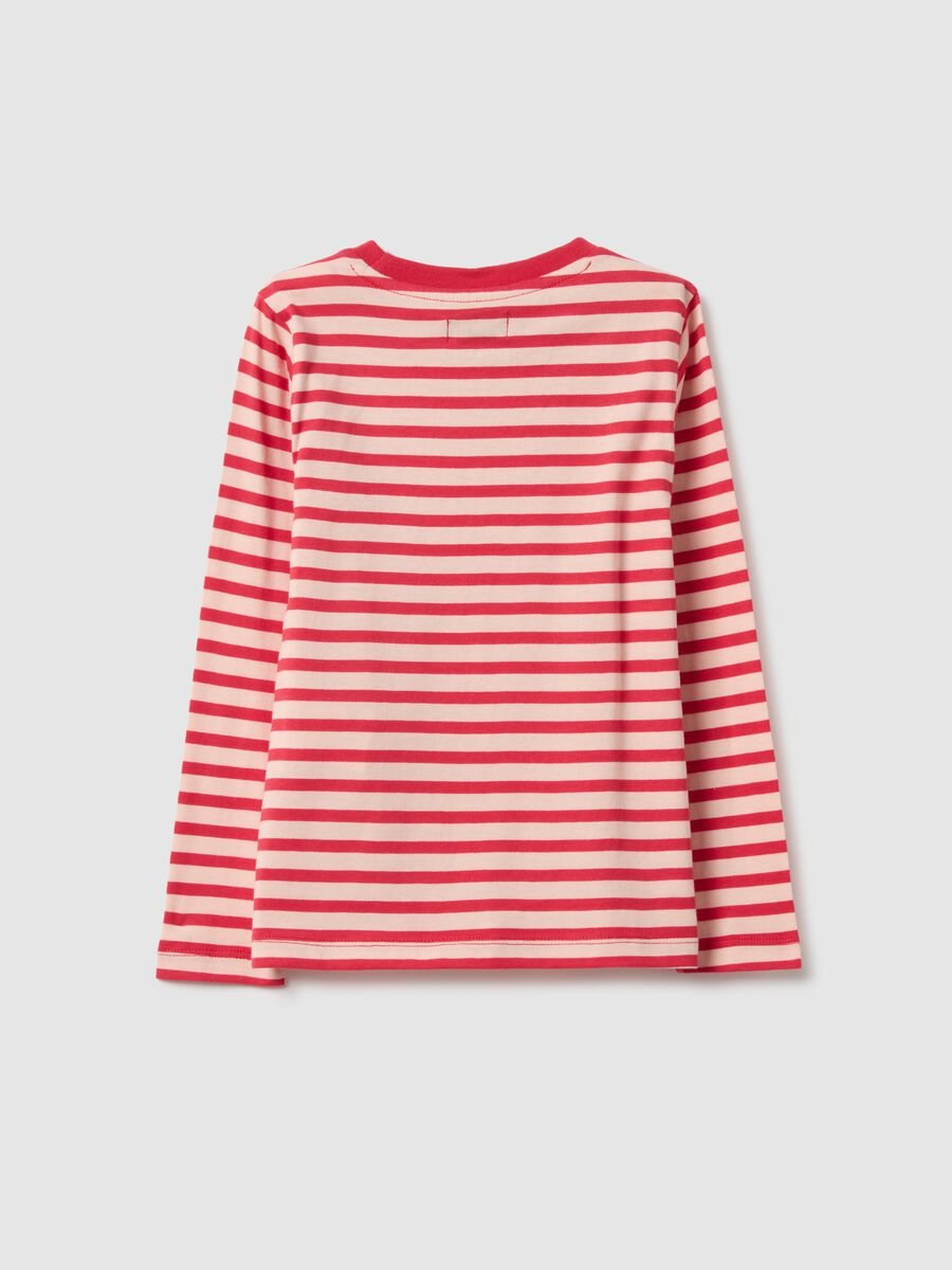 Multicolour stripe pure cotton long sleeve t-shirt in regular fit_1