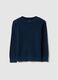 Children's regular fit blue crew neck pure cotton jumper_3