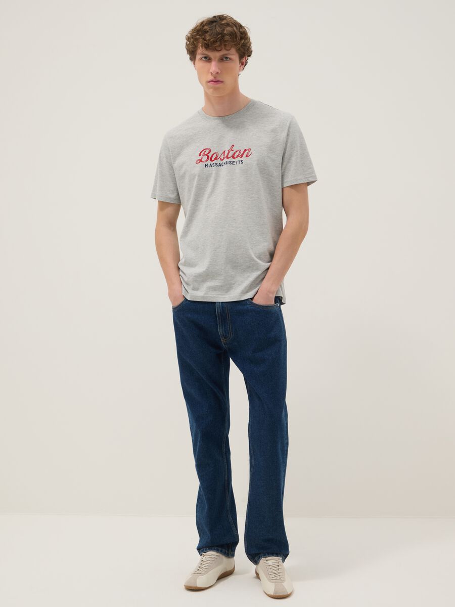 Grey printed T-shirt in pure cotton, regular fit_1