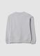Graues Sweatshirt aus reiner Baumwolle mit Rundhalsausschnitt f&uuml;r Jungen, Relaxed Fit_1