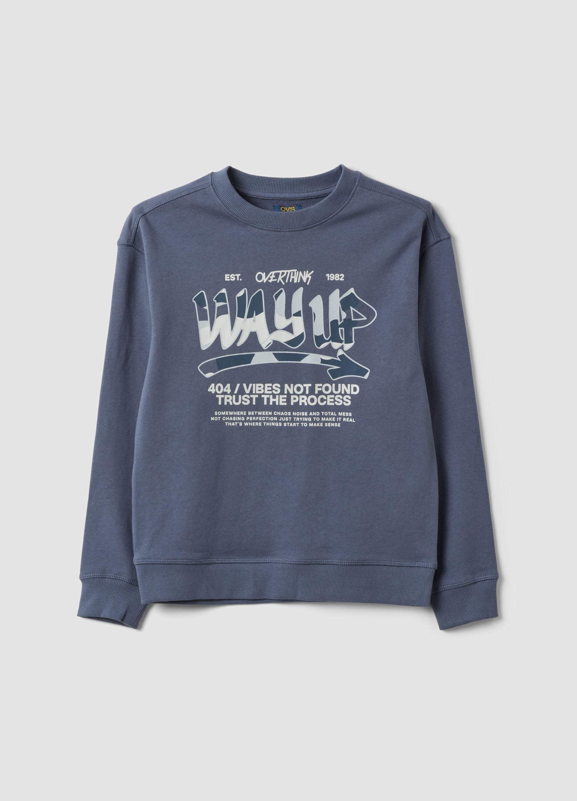 Grey pure cotton sweatshirt with front print for boys, relaxed fit