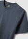 Blue pure cotton short sleeve T-shirt regular fit_5