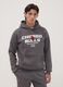 Sweat com capuz cinzenta em mistura de algod&atilde;o com estampado Chicago Bulls_2