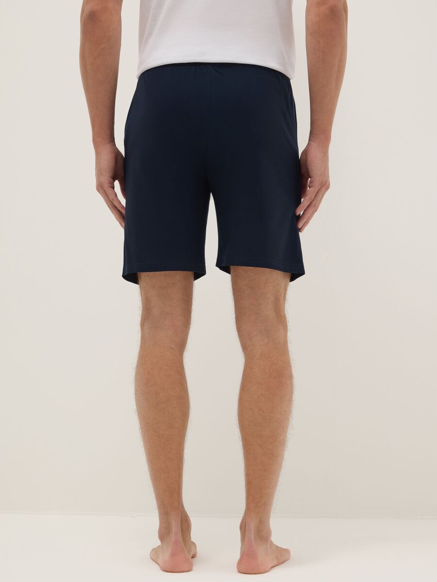 Multicolour pure cotton regular fit pyjama shorts twin pack_2
