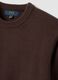 Brown crew-neck jersey knit jumper, regular fit_1