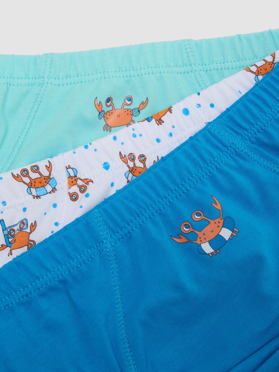 Mehrpack Kinder-Slips aus reiner Baumwolle in Multicolor_3