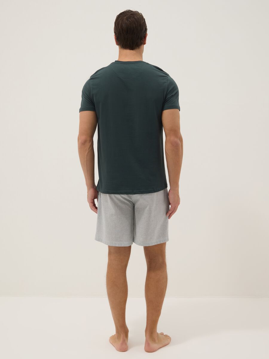 &Pi;&rho;ά&sigma;&iota;&nu;&omicron; &kappa;&omicron;&nu;&tau;ό &pi;&iota;&tau;&zeta;ά&mu;&alpha; &mu;&epsilon; &rho;ί&gamma;&epsilon;&sigmaf; &alpha;&pi;ό &kappa;&alpha;&theta;&alpha;&rho;ό &omicron;&rho;&gamma;&alpha;&nu;&iota;&kappa;ό &beta;&alpha;&mu;&beta;ά&kappa;&iota;_2