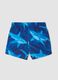 Blue shark-print swim shorts_1