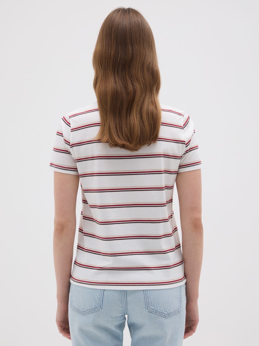 Women's Multicolour Pure Cotton T-Shirt_2