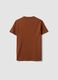 Brown Supima cotton crew-neck T-shirt, regular fit_6