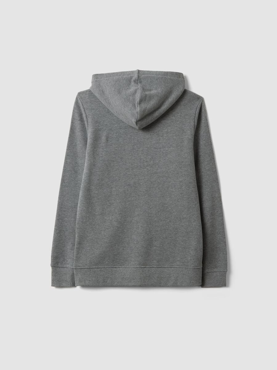 Grey hoodie in pure organic cotton, regular fit_2