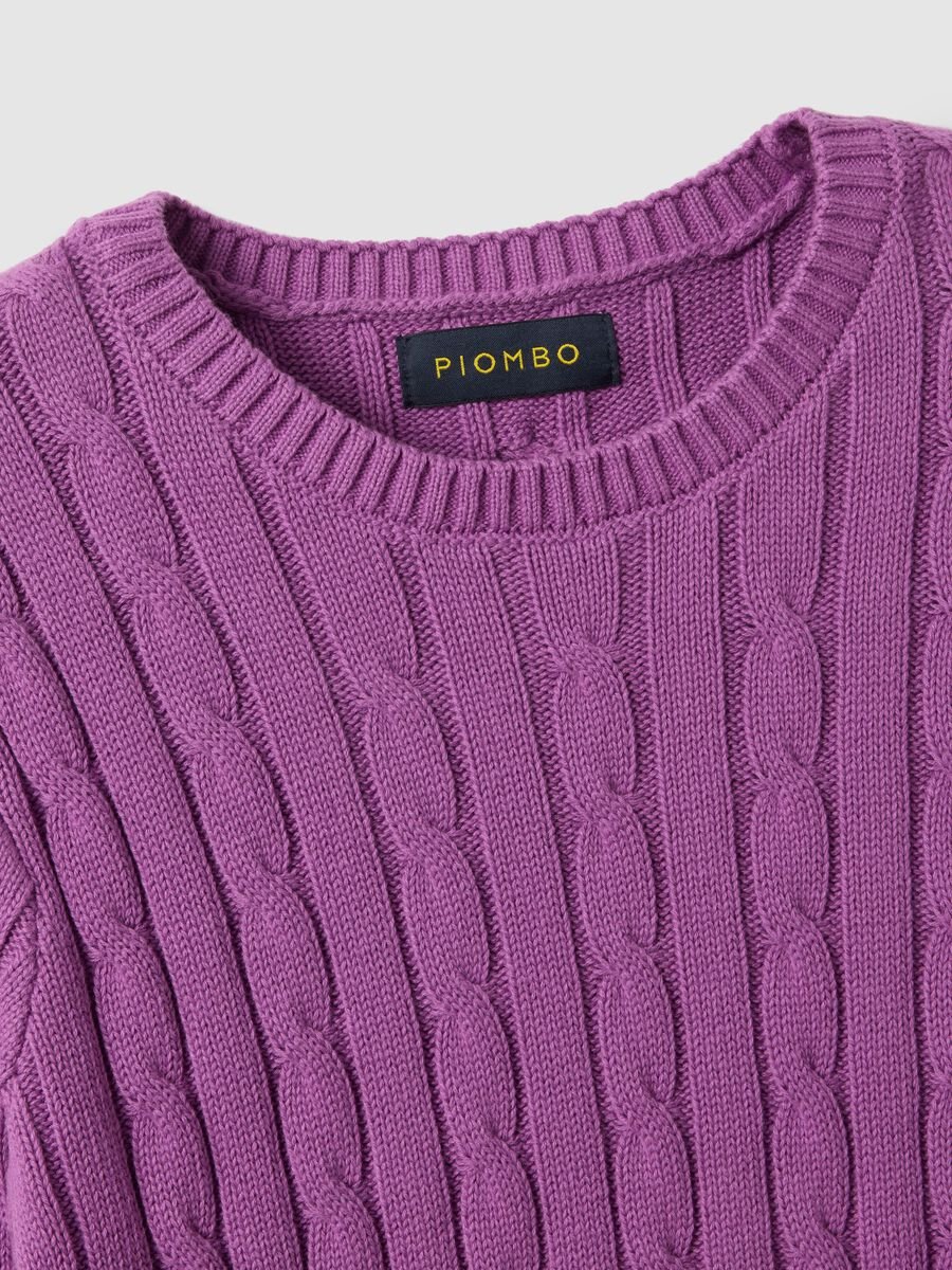 Purple pure cotton regular fit cable knit jumper_1