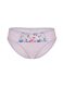 Embroidered lace briefs with floral embroidery_2