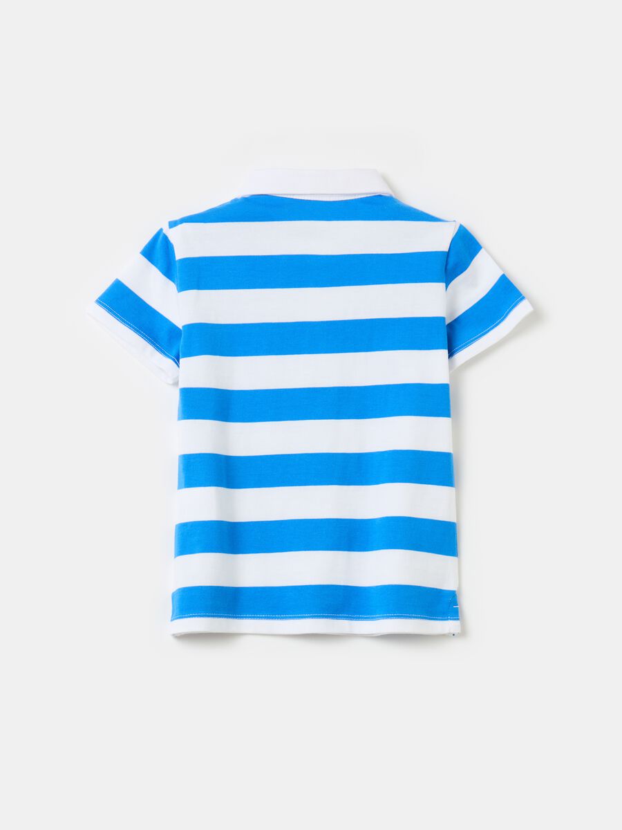 Polo shirt in cotton with stripes print_1