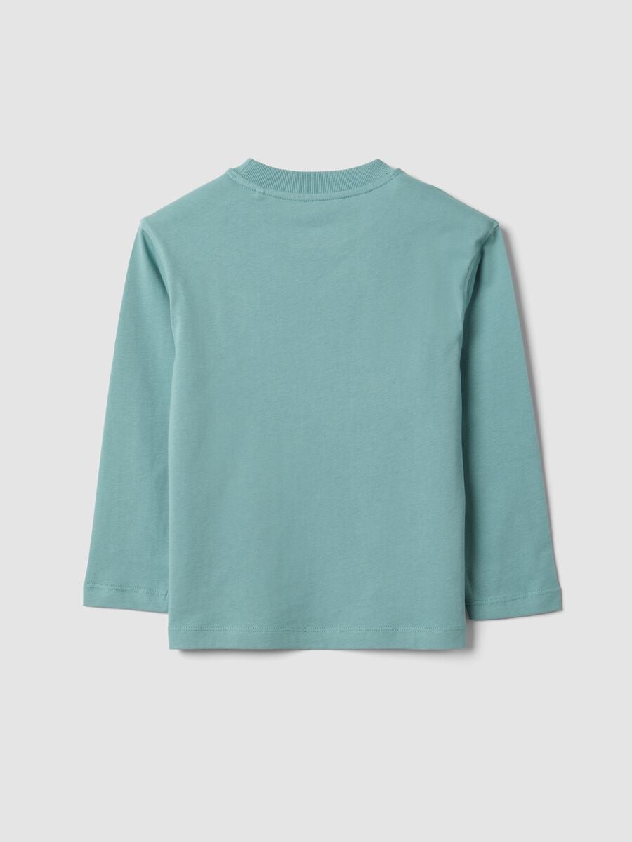 Gr&uuml;nes Oversize-T-Shirt aus reiner Baumwolle mit Skater-Print f&uuml;r Jungen_1