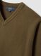 Olivgr&uuml;ner V-Ausschnitt-Pullover in Regular Fit_1