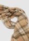 Multicolour Checked Scarf with Fringes_1