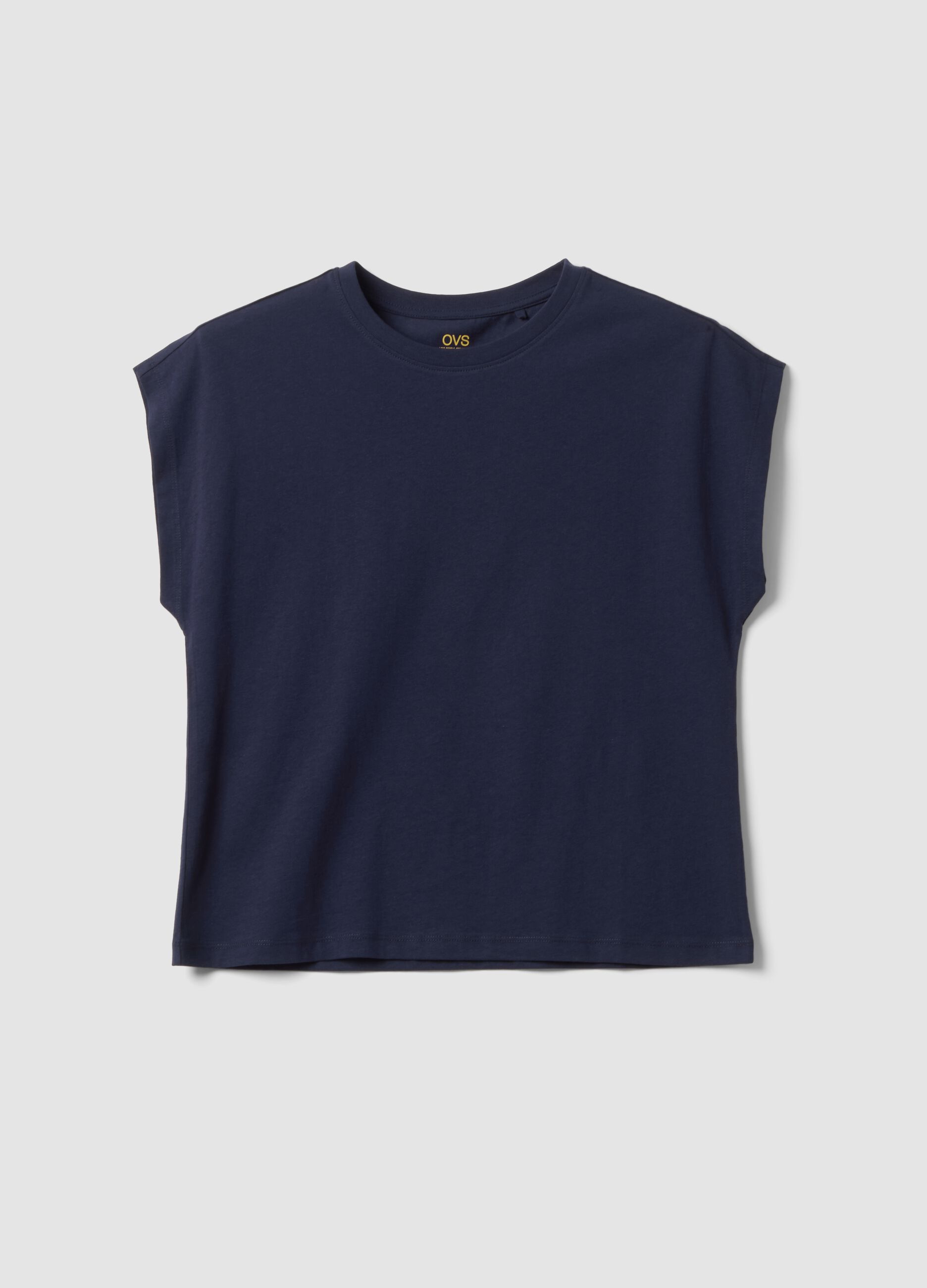 Blue pure cotton short-sleeve regular fit T-shirt