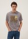 Graues T-Shirt aus reiner Baumwolle mit Frontprint, Regular Fit_0