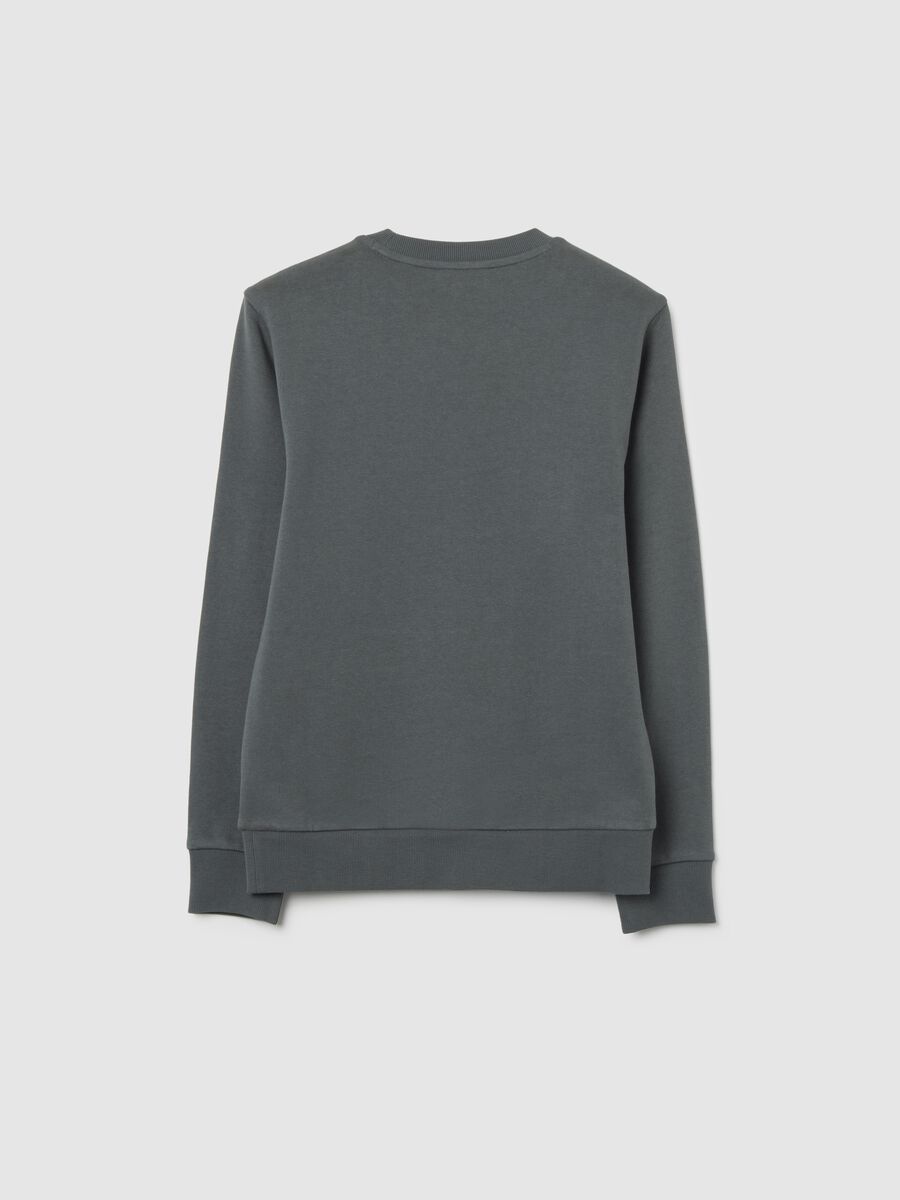 Grey Cotton Regular Fit Boy's Sweatshirt_1