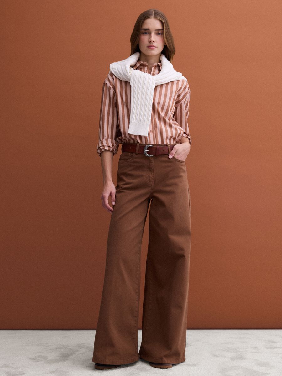 Brown striped pure cotton poplin shirt, regular fit_2