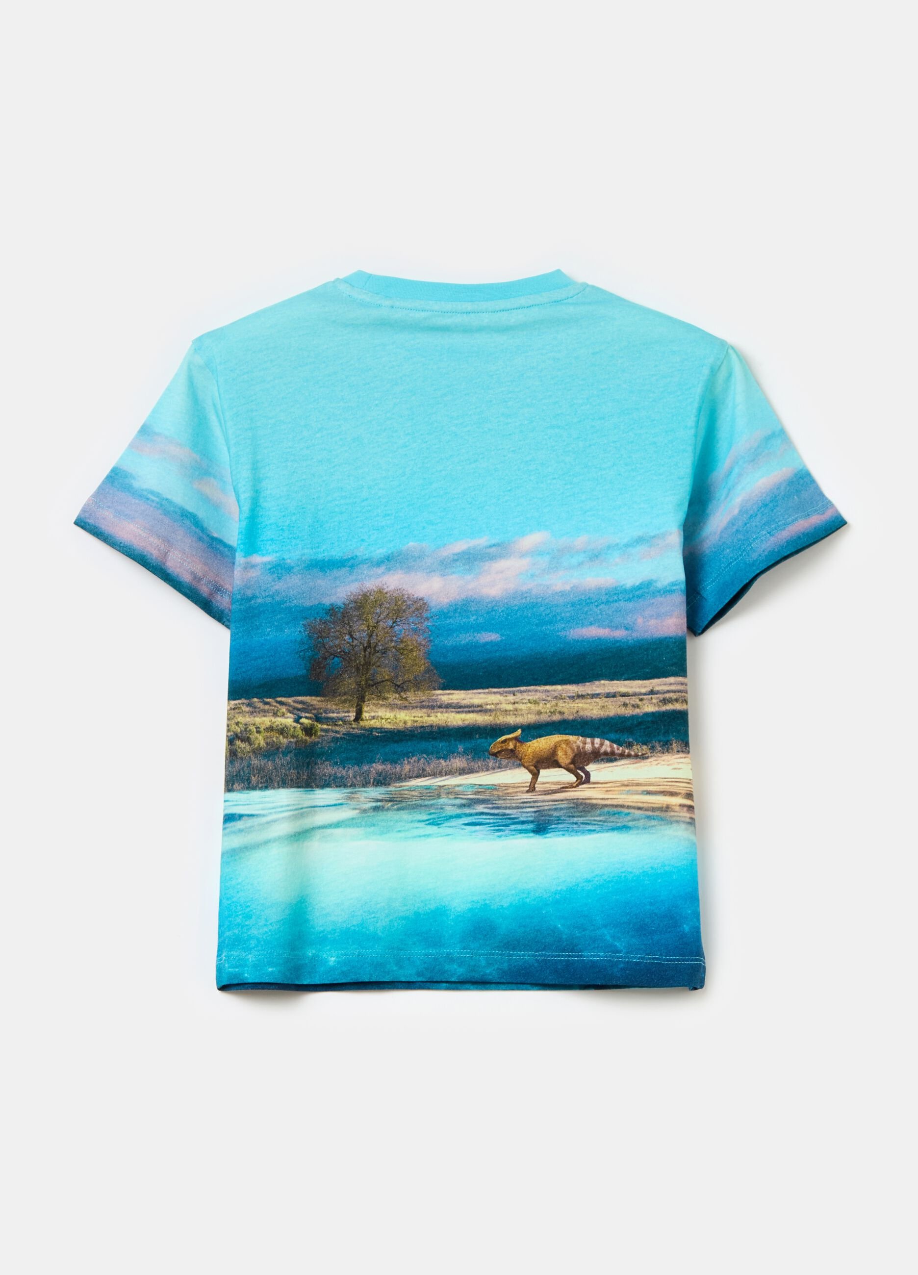 T-shirt in cotone con stampa dinosauri