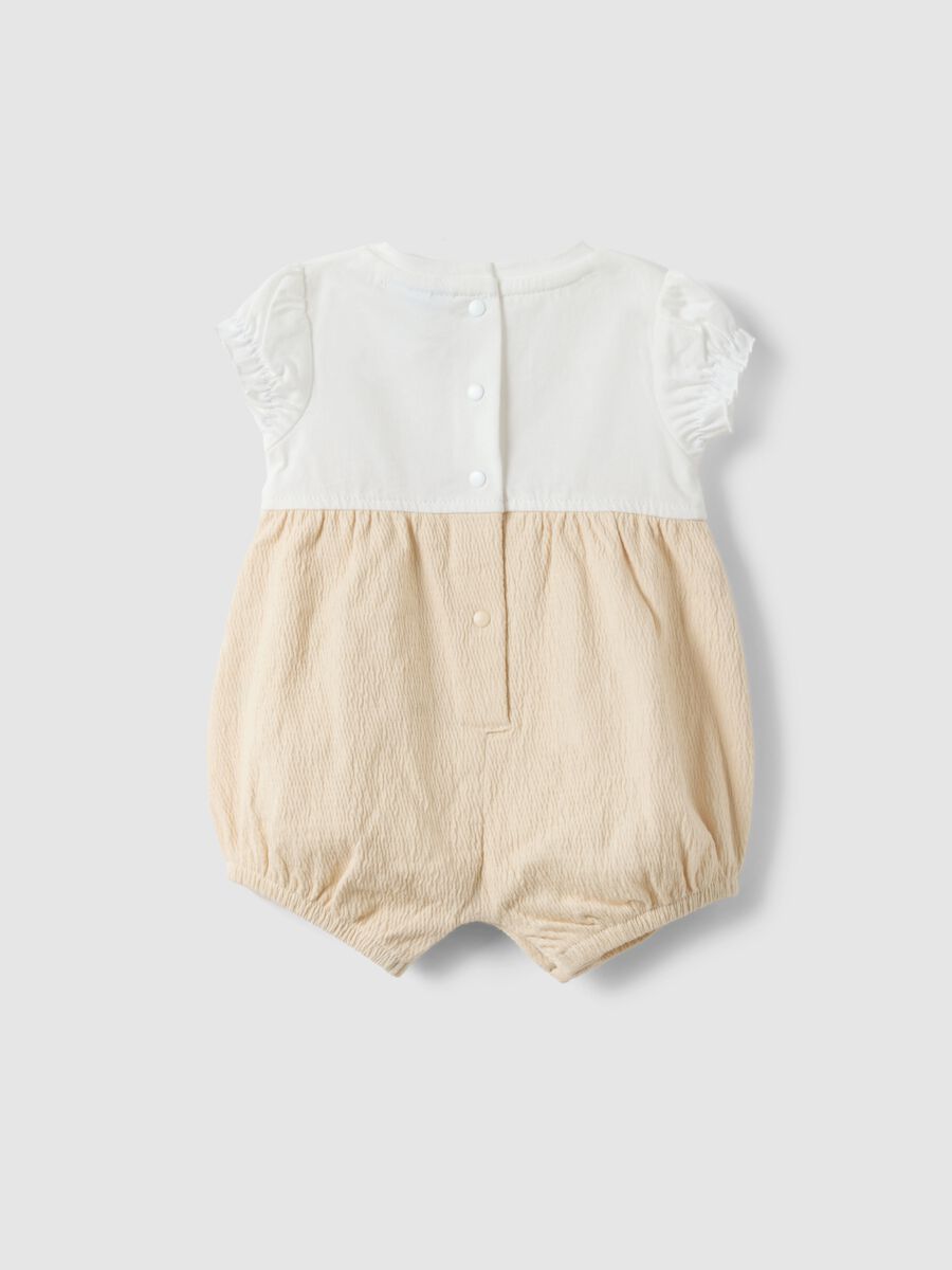 Newborn pure cotton multicolour bodysuit with embroidery_1