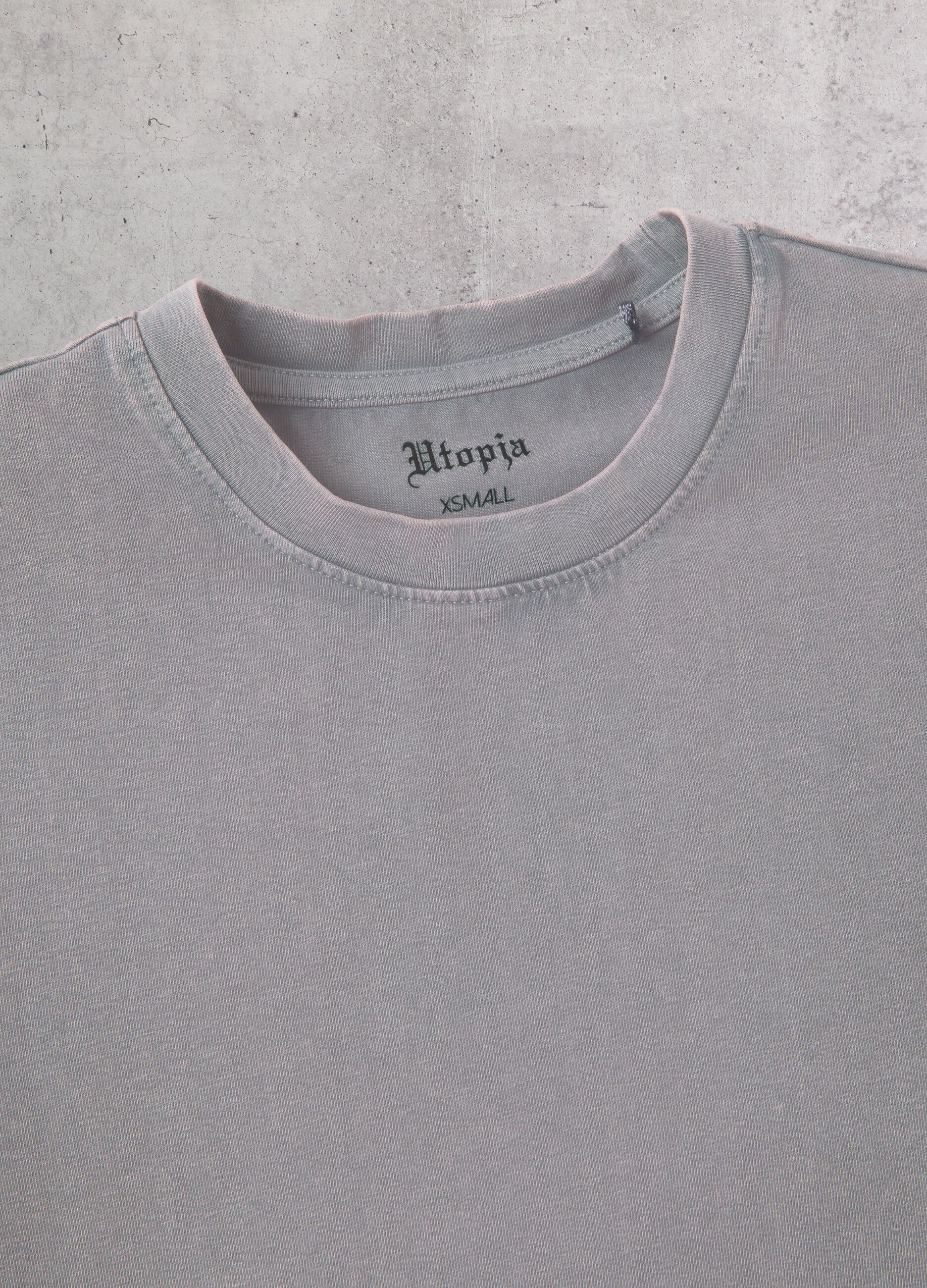 Vintage Grey Crop T-Shirt