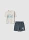 Multicolour pure cotton shorts set for boys with prints_0