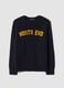 Blue stretch wool crew-neck jumper with print_0