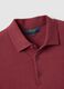 Red pure cotton polo regular fit_5