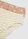 Multipack of multicoloured baby cotton briefs in regular fit_3