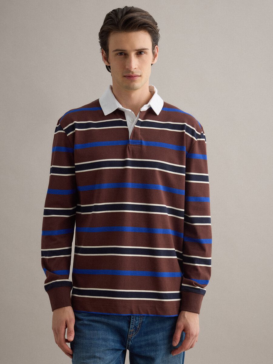 Multicolour striped long-sleeve polo in pure cotton, regular fit_1